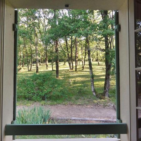 Les Feuillantines Perigord Noir Bed & Breakfast Saint-Cyprien  Exterior photo